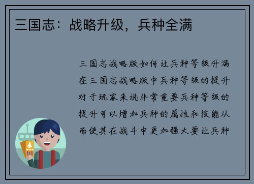 三国志：战略升级，兵种全满