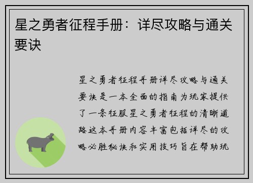 星之勇者征程手册：详尽攻略与通关要诀